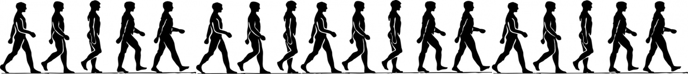 Walking